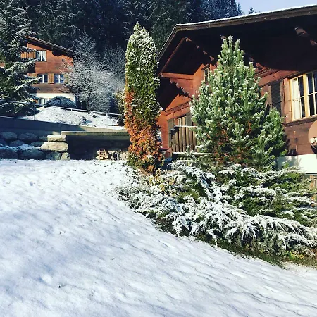 Chalet Solaria 2 Bedrooms With Mountain And Garden View Zweisimmen Exterior photo